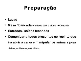 Preparação
• Luvas
• Mesa / bancada (cuidado com a altura -> Quedas)
• Entradas / saídas fechadas
• Comunicar a todos presentes no recinto que
irá abrir a caixa e manipular os animais (evitar
pisões, acidentes, mordidas).
 