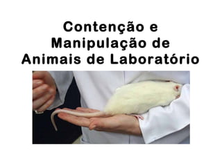 Contenção e
Manipulação de
Animais de Laboratório
 