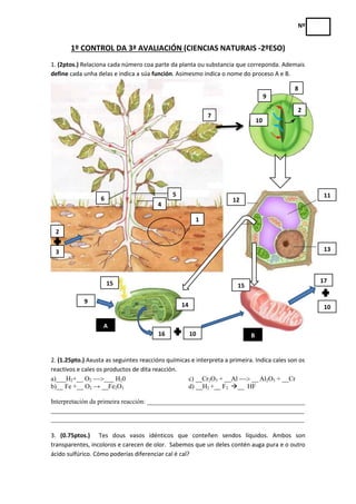 Nº
1º CONTROL DA 3ª AVALIACIÓN (CIENCIAS NATURAIS -2ºESO)
1. (2ptos.) Relaciona cada número coa parte da planta ou substan...