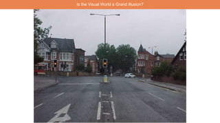 Is the Visual World a Grand Illusion?
 