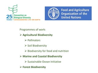 Programmes of work:
 Agricultural Biodiversity
 Pollinators
 Soil Biodiversity
 Biodiversity for food and nutrition
 ...