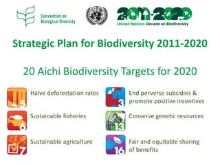 Strategic Plan for Biodiversity 2011-2020
20 Aichi Biodiversity Targets for 2020
Halve deforestation rates
Sustainable fis...