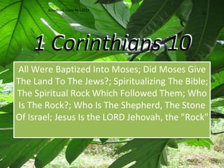 1 Corinthians 10
All Were Baptized Into Moses; Did Moses Give
The Land To The Jews?; Spiritualizing The Bible;
The Spiritual Rock Which Followed Them; Who
Is The Rock?; Who Is The Shepherd, The Stone
Of Israel; Jesus Is the LORD Jehovah, the "Rock"
Breadfruit, Costa Rica 2013
 