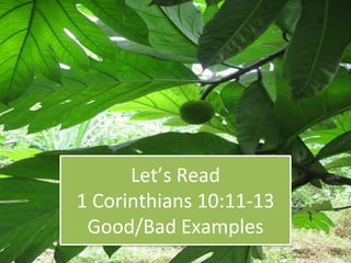 Let’s Read
1 Corinthians 10:11-13
Good/Bad Examples
 
