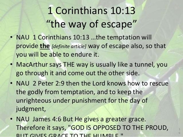 1 Corinthians 10 11 33 Scripture Is Example Ot Nt Bible Cross Refer