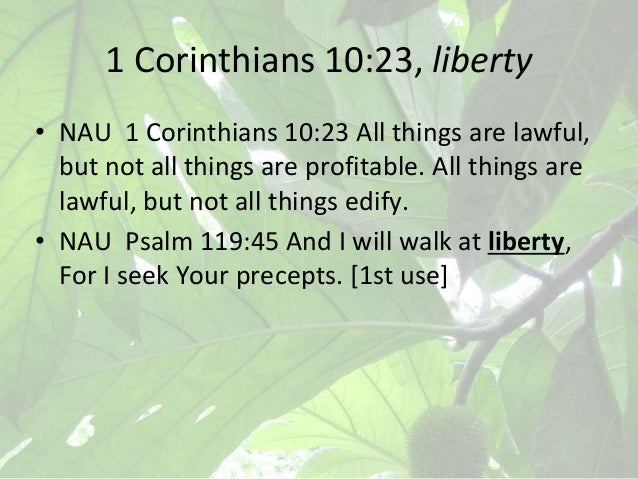 1 Corinthians 10 11 33 Scripture Is Example Ot Nt Bible Cross Refer