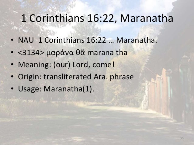 1 Corinthians 15 16 Baptized For The Dead Rapture The