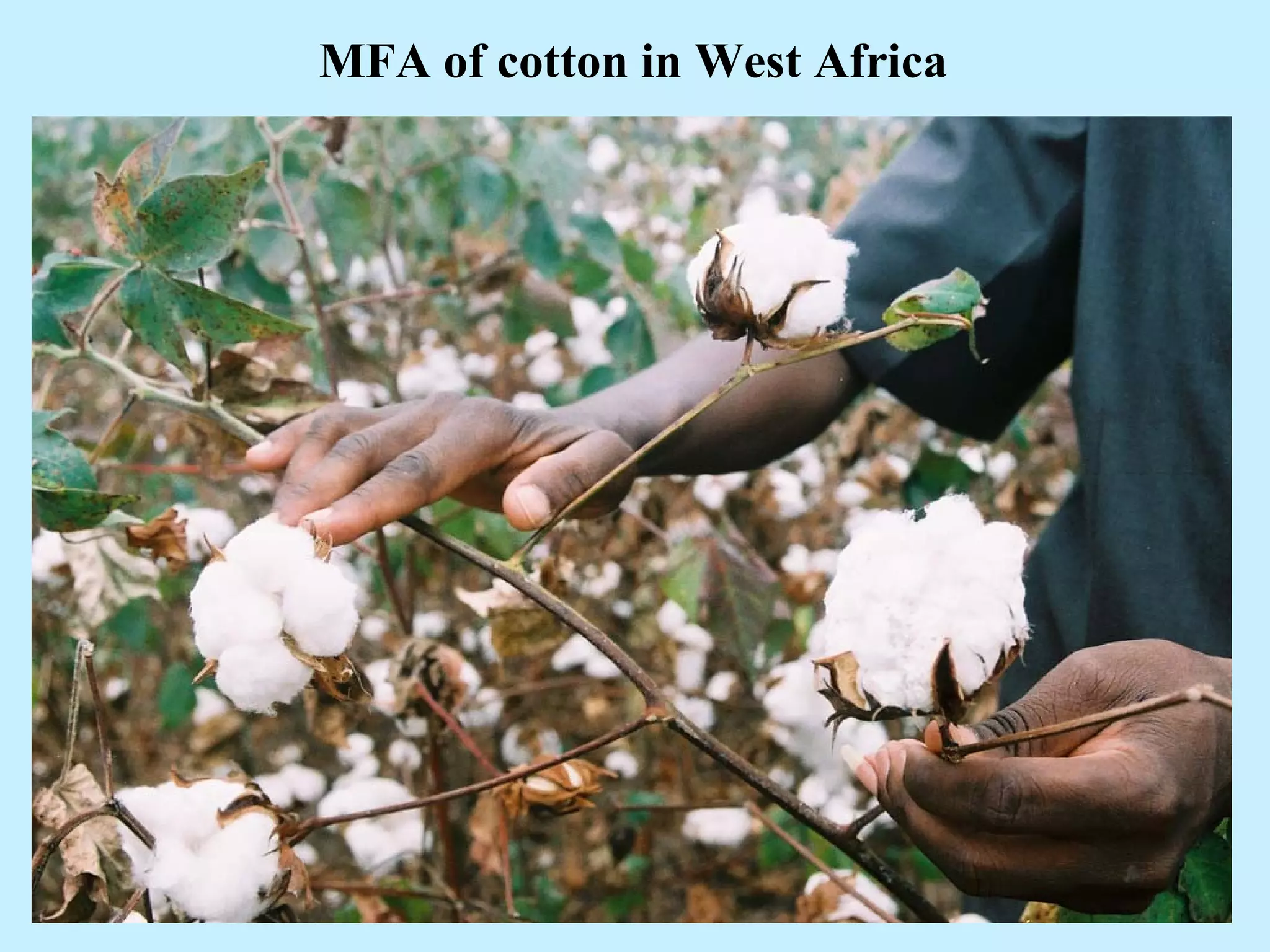 MFA of cotton in West Africa
 