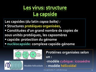 13
Protéines organisées selon
un :
-modèle cubique: icosaèdre
- modèle hélicoïdal
Les capsides (du latin capsa boîte) :
 Structures protéiques organisées,
 Constituées d’un grand nombre de copies de
sous unités protéiques, les capsomères
 capside: protection du génome
 nucléocapside: complexe capside-génome
virus généralités: Pr. Latifa Berrezouga
Modèle hélicoïdale
 