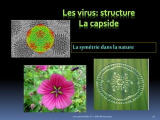 15
La symétrie dans la nature
virus généralités: Pr. Latifa Berrezouga
 