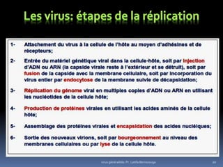 20virus généralités: Pr. Latifa Berrezouga
 