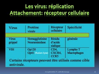 virus généralités: Pr. Latifa Berrezouga 22
(fusion-lyse)
 