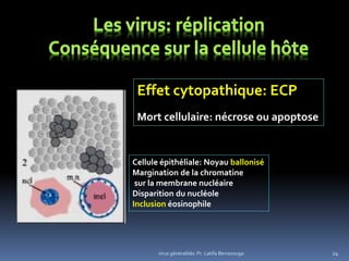 24
Effet cytopathique: ECP
Mort cellulaire: nécrose ou apoptose
virus généralités: Pr. Latifa Berrezouga
Cellule épithéliale: Noyau ballonisé
Margination de la chromatine
sur la membrane nucléaire
Disparition du nucléole
Inclusion éosinophile
 