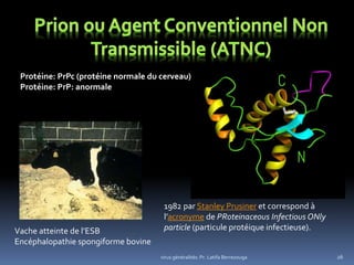virus généralités: Pr. Latifa Berrezouga 26
Vache atteinte de l’ESB
Encéphalopathie spongiforme bovine
1982 par Stanley Prusiner et correspond à
l’acronyme de PRoteinaceous Infectious ONly
particle (particule protéique infectieuse).
Protéine: PrPc (protéine normale du cerveau)
Protéine: PrP: anormale
 