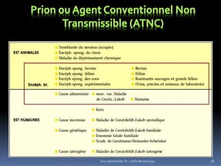 virus généralités: Pr. Latifa Berrezouga 28
 