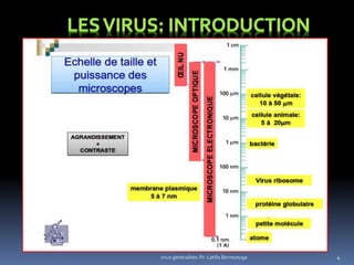 4virus généralités: Pr. Latifa Berrezouga
 