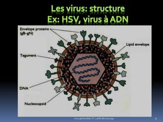 virus généralités: Pr. Latifa Berrezouga 9
 