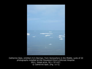 Catherine Opie, Untitled #13 (Spring), from Somewhere in the Middle, suite of 22
photographs installed at the Cleveland Clinic's Hillcrest Hospital.
2011. Inkjet print, 50 × 37-1/2".
© Catherine Opie. [Fig. 11-1]
 
