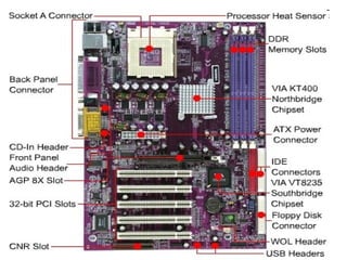 1 cpu | PPT