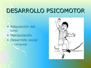 DESARROLLO PSICOMOTORDESARROLLO PSICOMOTOR
• Adquisición del
tono
• Manipulación
• Desarrollo social
– Lenguaje
 