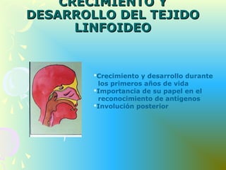 CRECIMIENTO YCRECIMIENTO Y
DESARROLLO DEL TEJIDODESARROLLO DEL TEJIDO
LINFOIDEOLINFOIDEO
Crecimiento y desarrollo durante
los primeros años de vida
Importancia de su papel en el
reconocimiento de antígenos
Involución posterior
 