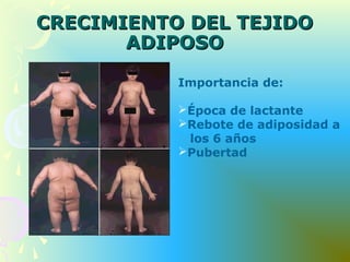 CRECIMIENTO DEL TEJIDOCRECIMIENTO DEL TEJIDO
ADIPOSOADIPOSO
Importancia de:
Época de lactante
Rebote de adiposidad a
los 6 años
Pubertad
 