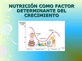 NUTRICIÓN COMO FACTORNUTRICIÓN COMO FACTOR
DETERMINANTE DELDETERMINANTE DEL
CRECIMIENTOCRECIMIENTO
 