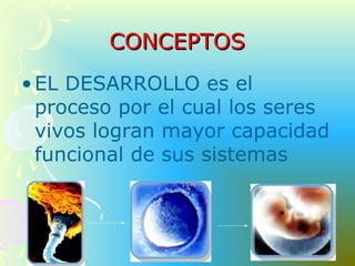 CONCEPTOSCONCEPTOS
•EL DESARROLLO es el
proceso por el cual los seres
vivos logran mayor capacidad
funcional de sus sistemas
 