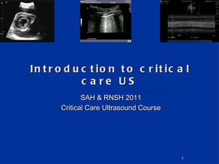 Introduction to critical care US SAH & RNSH 2011 Critical Care Ultrasound Course 