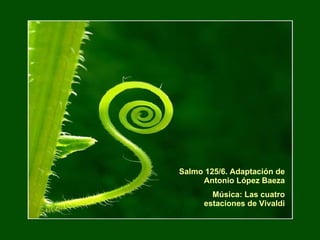 Salmo 125/6. Adaptación de Antonio López Baeza Música: Las cuatro estaciones de Vivaldi 