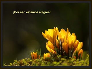 ¡Por eso estamos alegres! 