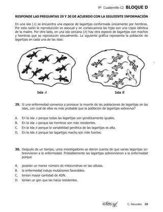 19C. Naturales
9º Cuadernillo C2 BLOQUE D
RESPONDE LAS PREGUNTAS 29 Y 30 DE ACUERDO CON LA SIGUIENTE INFORMACIÓN
En una isla (A) se encuentra una especie de lagartijas conformada únicamente por hembras.
Por esta razón la reproducción es asexual y en consecuencia las hijas son una copia idéntica
de la madre. Por otro lado, en una isla cercana (B) hay otra especie de lagartijas con machos
y hembras que se reproducen sexualmente. La siguiente gráfica representa la población de
lagartijas en cada una de las islas:
Isla BIsla A
29.	 Si una enfermedad comienza a provocar la muerte de las poblaciones de lagartijas en las
islas, ¿en cuál de ellas es más probable que la población de lagartijas sobreviva?
En la isla A porque todas las lagartijas son genéticamente iguales.
En la isla A porque las hembras son más resistentes.
En la isla B porque la variabilidad genética de las lagartijas es alta.
En la isla B porque las lagartijas macho son más fuertes.
A.
B.
C.
D.
30.	 Después de un tiempo, unos investigadores se dieron cuenta de que varias lagartijas so-
brevivieron a la enfermedad. Probablemente las lagartijas sobrevivieron a la enfermedad
porque
poseían un menor número de mitocondrias en las células.
la enfermedad indujo mutaciones favorables.
tenían mayor cantidad de ADN.
tenían un gen que las hacía resistentes.
A.
B.
C.
D.
 
