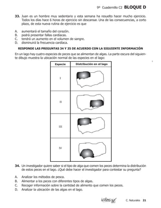 21C. Naturales
9º Cuadernillo C2 BLOQUE D
En un lago hay cuatro especies de peces que se alimentan de algas. La parte oscura del siguien-
te dibujo muestra la ubicación normal de las especies en el lago:
Especie Distribución en el lago
I
II
III
IV
34.	 Un investigador quiere saber si el tipo de alga que comen los peces determina la distribución
de estos peces en el lago. ¿Qué debe hacer el investigador para contestar su pregunta?
Analizar los métodos de pesca.		
Alimentar a los peces con diferentes tipos de algas.		
Recoger información sobre la cantidad de alimento que comen los peces.		
Analizar la ubicación de las algas en el lago.
A.
B.
C.
D.
RESPONDE LAS PREGUNTAS 34 Y 35 DE ACUERDO CON LA SIGUIENTE INFORMACIÓN
33.	 Juan es un hombre muy sedentario y esta semana ha resuelto hacer mucho ejercicio.
Todos los días hace 6 horas de ejercicio sin descansar. Una de las consecuencias, a corto
plazo, de esta nueva rutina de ejercicio es que
aumentará el tamaño del corazón.
podrá presentar fallas cardíacas.
tendrá un aumento en el volumen de sangre.
disminuirá la frecuencia cardíaca.
A.
B.
C.
D.
 