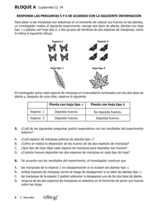 C. Naturales
BLOQUE A Cuadernillo C2 9º
RESPONDE LAS PREGUNTAS 5 Y 6 DE ACUERDO CON LA SIGUIENTE INFORMACIÓN
Para saber si las mariposas son selectivas en el momento de colocar sus huevos en las plantas,
un investigador realiza el siguiente experimento: escoge dos tipos de planta, plantas con hoja
tipo A y plantas con hoja tipo B, y dos grupos de hembras de dos especies de mariposas, como
lo indica el siguiente dibujo:
El investigador pone cada especie de mariposa en invernaderos sembrados con los dos tipos de
planta y, después de unos días, observa lo siguiente:
Planta con hoja tipo A Planta con hoja tipo B
Especie 1 Deposita huevos. No deposita huevos.
Especie 2 Deposita huevos. Deposita huevos.
Especie 1
Hoja tipo A Hoja tipo B
Especie 2
5.	 ¿Cuál de las siguientes preguntas podría responderse con los resultados del experimento
anterior?
¿Cuál especie de mariposa poliniza las plantas tipo A?
¿Cómo se realiza la deposición de los huevos de las dos especies de mariposa?
¿Qué tipo de hoja elige cada especie de mariposa para depositar sus huevos?
¿Cuántos huevos depositan las dos especies de mariposa en cada tipo de hoja?
A.
B.
C.
D.
6.	 De acuerdo con los resultados del experimento, el investigador concluye que
las mariposas de la especie 1 no desaparecerán si se acaban las plantas tipo A.
ambas especies de mariposa corren el riesgo de desaparecer si se talan las plantas tipo A.
las mariposas de la especie 2 podrán sobrevivir si desaparece uno de los dos tipos de planta.
ninguna de las dos especies de mariposas es selectiva en el momento de poner sus huevos
sobre las hojas.
A.
B.
C.
D.
 