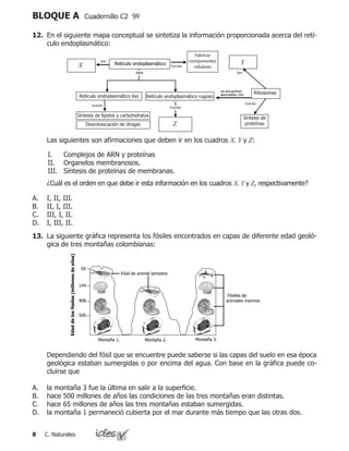 C. Naturales
BLOQUE A Cuadernillo C2 9º
12.	 En el siguiente mapa conceptual se sintetiza la información proporcionada acerca del retí-
culo endoplasmático:
	 Las siguientes son afirmaciones que deben ir en los cuadros X, Y y Z:
Complejos de ARN y proteínas
Organelos membranosos.
Síntesis de proteínas de membranas.
	 ¿Cuál es el orden en que debe ir esta información en los cuadros X, Y y Z, respectivamente?
I, II, III.
II, I, III.
III, I, II.
I, III, II.
I.
II.
III.
A.
B.
C.
D.
se encuentran
asociados con
Fabricar
componentes
celulares
tipos
Retículo endoplasmático Y
Ribosomas
Z
función
función
Son
función
función
son
Retículo endoplasmático liso Retículo endoplasmático rugoso
Síntesis de lípidos y carbohidratos
Desintoxicación de drogas
Síntesis de
proteínas
X
13.	 La siguiente gráfica representa los fósiles encontrados en capas de diferente edad geoló-
gica de tres montañas colombianas:
	 Dependiendo del fósil que se encuentre puede saberse si las capas del suelo en esa época
geológica estaban sumergidas o por encima del agua. Con base en la gráfica puede co-
cluirse que
la montaña 3 fue la última en salir a la superficie.
hace 500 millones de años las condiciones de las tres montañas eran distintas.
hace 65 millones de años las tres montañas estaban sumergidas.
la montaña 1 permaneció cubierta por el mar durante más tiempo que las otras dos.
A.
B.
C.
D.
505
408
144
65
Edaddelosfósiles(millonesdeaños)
Fósiles de
animales marinos
Fósil de animal terrestre
Montaña 1. Montaña 2. Montaña 3.
 