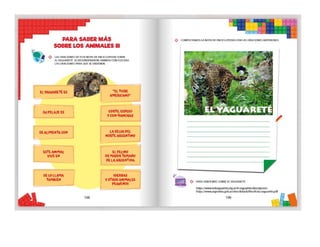 1° curiosos exploradores