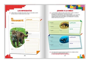 1° curiosos exploradores