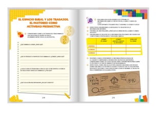 1° curiosos exploradores