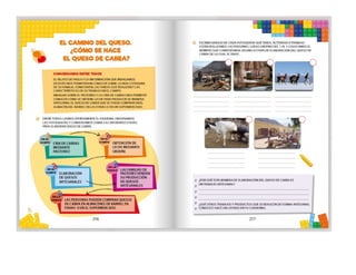 1° curiosos exploradores