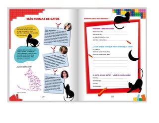 1° curiosos exploradores