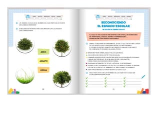 1° curiosos exploradores