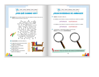 1° curiosos exploradores