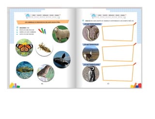 1° curiosos exploradores