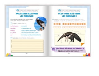 1° curiosos exploradores