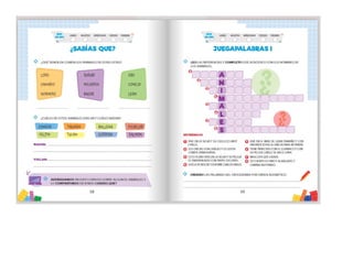 1° curiosos exploradores