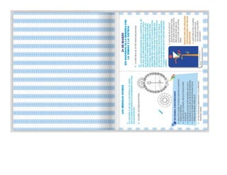 1° curiosos exploradores