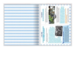 1° curiosos exploradores