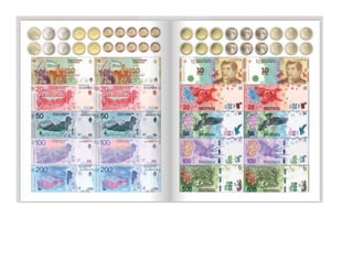 1° curiosos exploradores