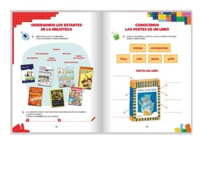 1° curiosos exploradores