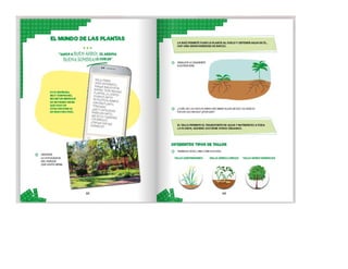 1° curiosos exploradores